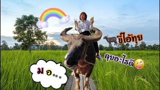 ขี่ควาย🐃ครั้งแรก