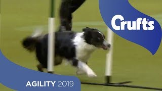 Agility - International Invitation - Large (Agility) - Part 1 | ​Crufts 2019