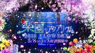 楽園のアクアリム 2016 FLOWERS PV動画