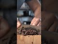 Chocolate Tik Tok ASMR