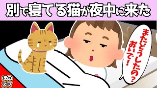 【2chほのぼの】いつもキャットタワーで寝ている猫が、夜中に娘を起こした結果www