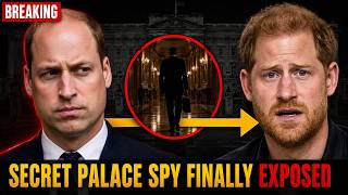 William vs Harry: The Secret Diplomat Trying To End The Royal War