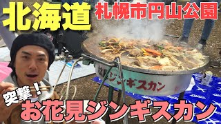 【北海道】お花見でジンギスカンを焼くというのは本当なのか突撃してみた【札幌円山公園】