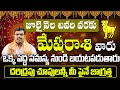 మేషరాశి వారికి ఇలా జరగాల్సిందే | Mesha Rashi Phalalu July | July Month Horoscope 2024 | SP