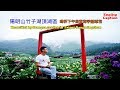 Travel in Taiwan, Beautiful hydrangea garden in Taipei Yangmingshan