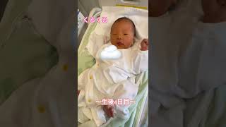 生後4日目の大あくび！Big yawn on the 4th day after birth！#赤ちゃん #baby #shorts #あくび#生後４日目