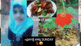 💃🏽SUNDAY FAMILY VLOG/easy prowns biriyani incooker/ ഞായറാഴ്ചദിവസവും  ഞങ്ങളുടെ വിശേഷവും/tales of naju