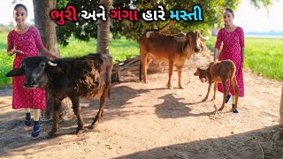 ભુરી અને ગંગા હારે મસ્તી | Amari Bhuri Ane Ganga Pan Am Se Ho Baki | Dhruvi Jay Vlog  is live