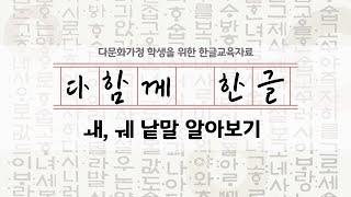 [다함께한글]모2-4  ㅙ, ㅞ 낱말 알아보기