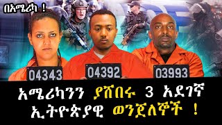 አሜሪካውያንን ጉድ ያስባለ ወንጀል የፈፀሙ 3 አደገኛ ኢትዮጵያውያን !!           | ከዲያስፓራው የወንጀል መንደር!