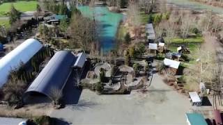 Aerial Splendor: Remlinger Farms Fun Park in Majestic Autumn Glory (Drone Video)