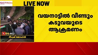 വയനാട്ടിൽ വീണ്ടും കടുവയുടെ ആക്രമണം; വനം വകുപ്പ് ജീവനക്കാരന് പരിക്ക് | Tiger | Wayanad