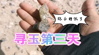 野外戈壁滩无人区捡石头捡到停不下来，收获精品玉石！