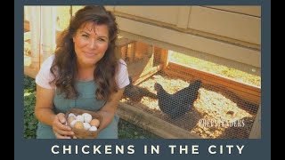 Chicken Coop in the City - Meet my Chickens and get started with your own!