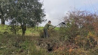 Limpiar Zarzas bajo una Encina