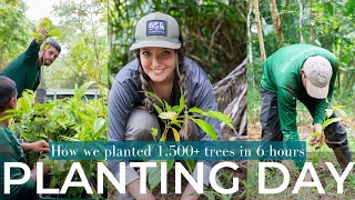 How we planted 1,500+ trees in under 6 hours | Planting Day 2023