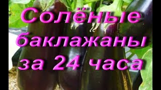 ГОТОВИМ солёные баклажаны за 24 часа.