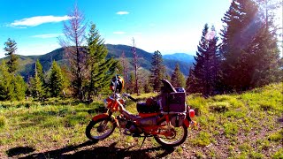 Miller Divide Trail | Blue Honda CT70 Restoration #hondact90