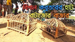 বিশাল কবুতরের হাট বাটাজোর বাজার■ MH Official