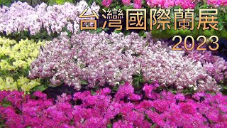 2023台灣國際蘭展/Taiwan International Orchid Show