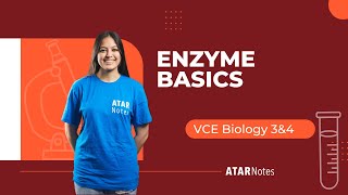 Enzyme Basics | VCE Biology 3\u00264