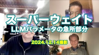 松田語録：スーパーウェイトとは何か？〜LLMパラメータの急所部分