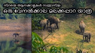 ഒരുപാട് ആനക്കാഴ്ചകൾ സമ്മാനിച്ച ഒരു വേനൽക്കാല മലക്കപ്പാറ യാത്ര 🐘🐘🐘