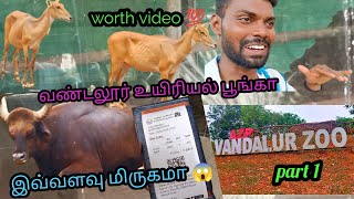 vandalur zoo vlog 😱/வண்டலூர் உயிரியல் பூங்காவில் ஒரு நாள்/ part 1