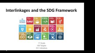 FORESIGHT COVID19 Webinar - How the SDGs Support Resiliency