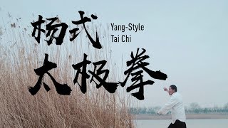 China Kungfu: Yang’s Style Tai Chi