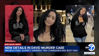 Disturbing new details on how Celeste Rivas Hernandez was believed to be killed by D4vd