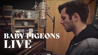 Baby Pigeons LIVE Music Video | Tom McGovern