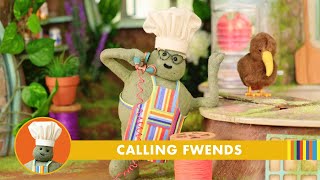 Tiny Chef | Calling Fwends