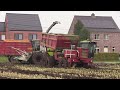 maïs 2024 beetmaster 3200 en claas jaguar 980 met dubbellucht vastgereden dezeure vast modder