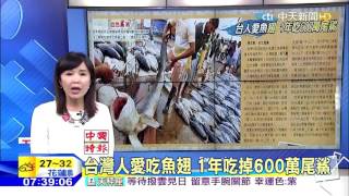 台灣人愛吃魚翅 1年吃掉600萬尾鯊