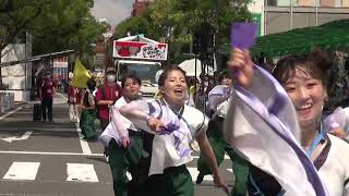 よさこいチーム炎～ほむら～　2022よさこい鳴子踊り特別演舞　10日追手筋南