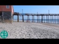 Rodanthe Pier beach report on Hatteras Island, NC