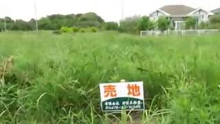 売地情報　千葉県山武市上横地4554-9