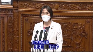 こども関連法案ただす　子らの意見表明権こそ　2022.5.18