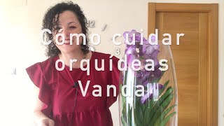 Orquidea Vanda: una orquídea caprichosa para cuidar pero realmente hermosa.