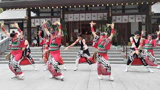 新琴似天舞龍神 一回目演舞 新琴似神社 夏詣・奉納行事 2024年7月7日(日)