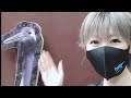 横浜市立金沢動物園でハロウィンわっしょい！