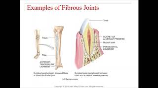 Chapter 9 - Joints