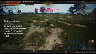 BDO awakening striker combos「よし準備OK、とりあえず突っ込もう」覚醒格闘家KTのコンボを4つ紹介　【黒い砂漠】