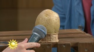 Potatispunk live – det mest bisarra musikframträdandet i "Nymo" någonsin? - Nyhetsmorgon (TV4)
