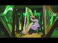 defying gravity for wicked harp cover