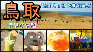 【鳥取 観光】鳥取砂丘／かにっこ館／道の駅 神話の里 白うさぎ／鳥取港海鮮市場かろいち／魚見台／道の駅 きなんせ岩美／鳥取／ドライブ旅