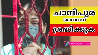 ചാന്ദിപുര വൈറസ് പടരുന്നു ശ്രദ്ധിക്കുക.!| Ethnic Health Court