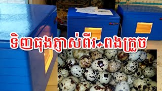 ទិញទាំងទូភ្ញាស់/ទិញទាំងពងក្រួច/088-368-3444