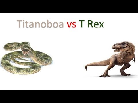 Titanoboa Vs T Rex 2018 Youtube Titanoboa Vs T Rex 2018 Youtube